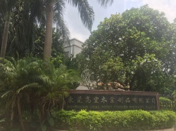 祝東莞高豐木業制品有限公司通過BV  BSCI、FCCA、SCS驗廠